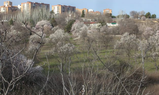 La Comunidad de Madrid protegerá parte de Huerta de Mena sin impedir la construcción de oficinas