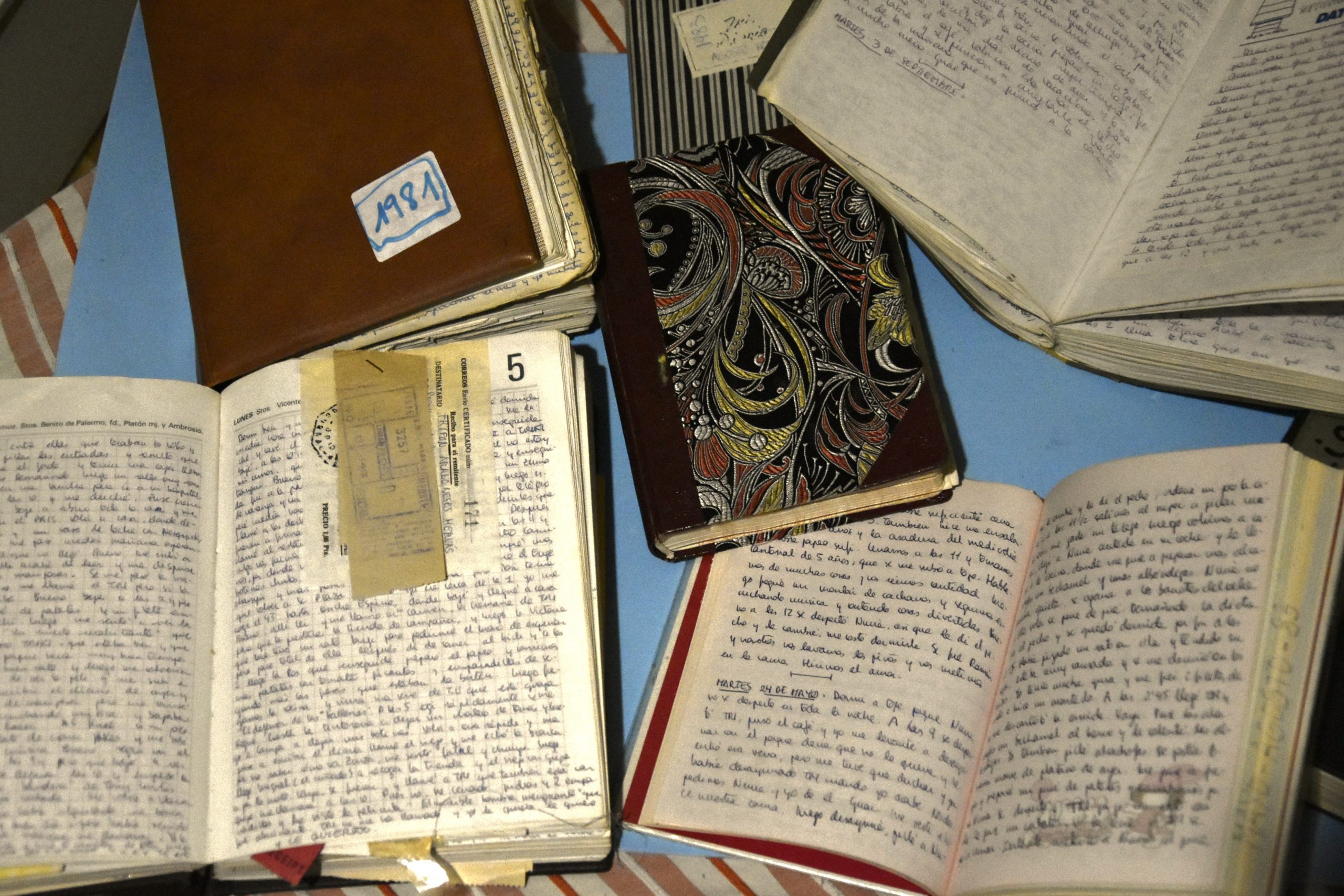 Los diarios de Juana Benet