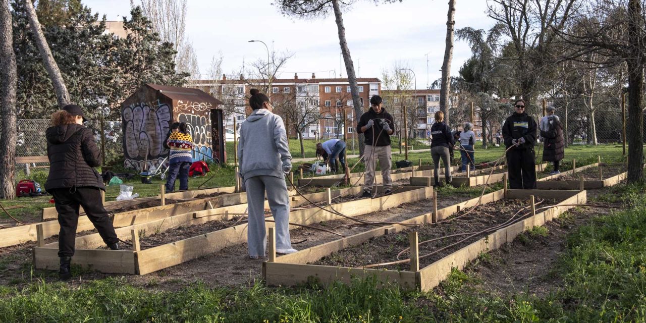 Cultivando barrio desde los huertos urbanos