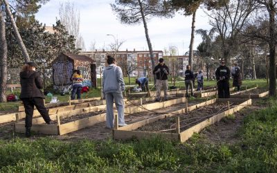Cultivando barrio desde los huertos urbanos