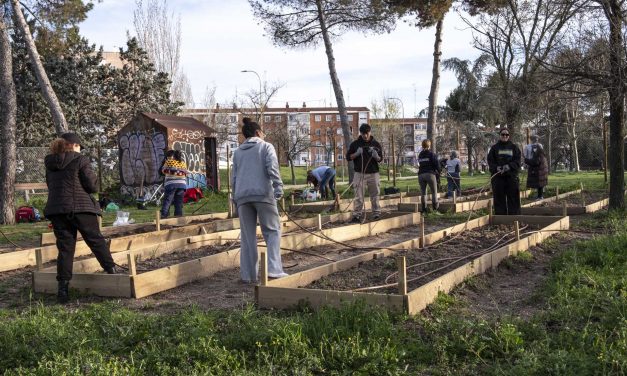 Cultivando barrio desde los huertos urbanos