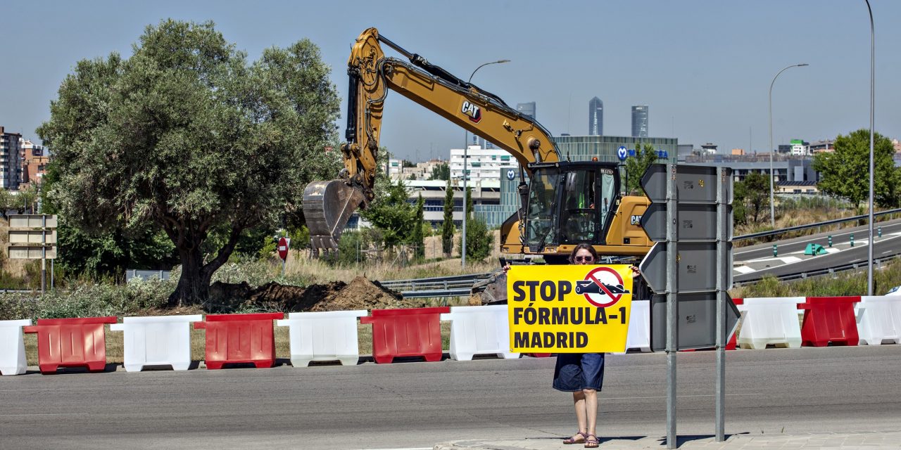 Ifema trasplanta decenas de árboles en pleno verano para construir el nuevo circuito de Fórmula 1