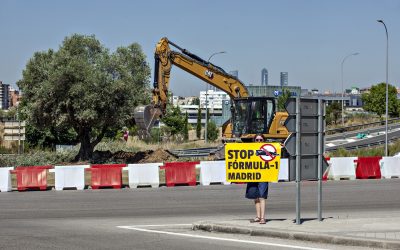Ifema trasplanta decenas de árboles en pleno verano para construir el nuevo circuito de Fórmula 1