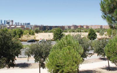 El Ayuntamiento cederá una parcela de Sanchinarro a una fundación vinculada al Opus Dei