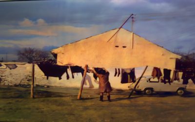 Estreno audiovisual: Hortaleza, hogar, vida y color