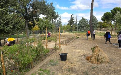Jornada de trabajo vecinal en el huerto comunitario AV La Unión de Hortaleza