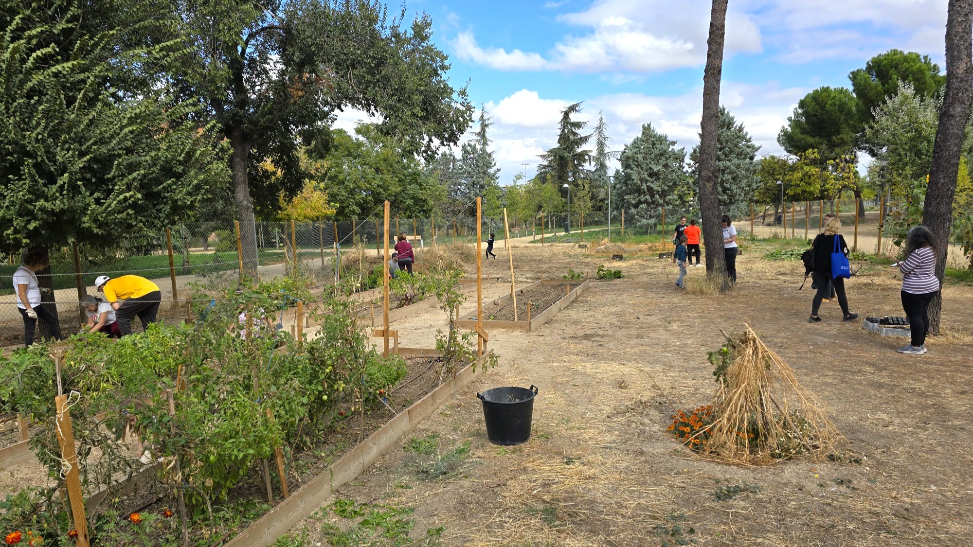 jornada de trabajo vecinal en el huerto comunitario AV La Unión