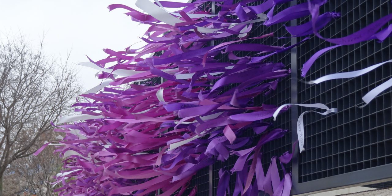 De espacios de igualdad a centros integrales de atención a la mujer