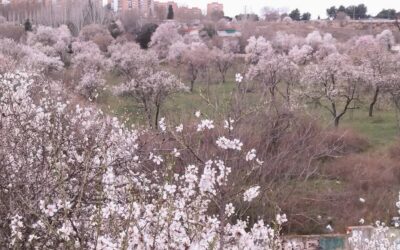 Paseo vecinal a Huerta de Mena y asamblea